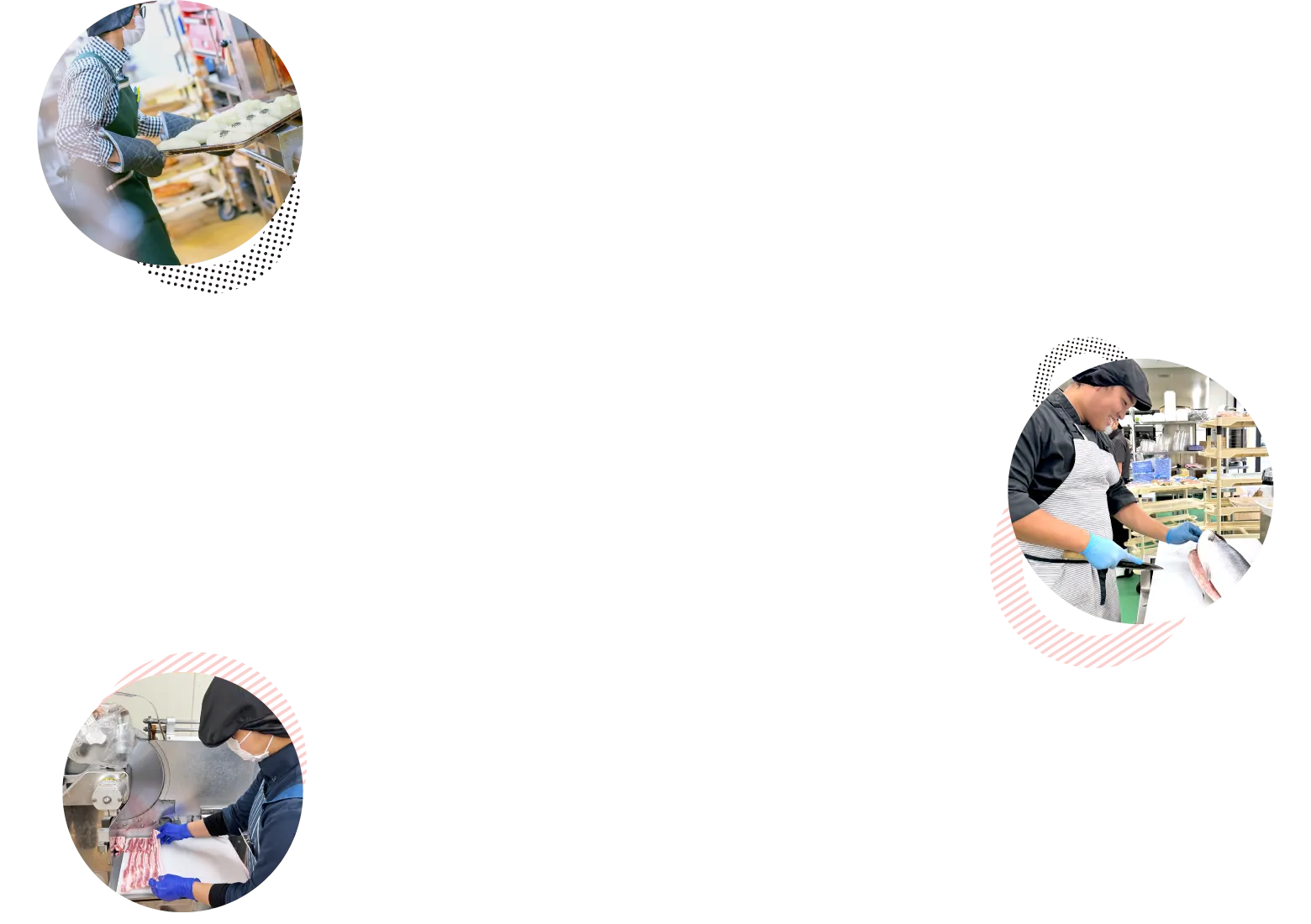 スタッフの写真